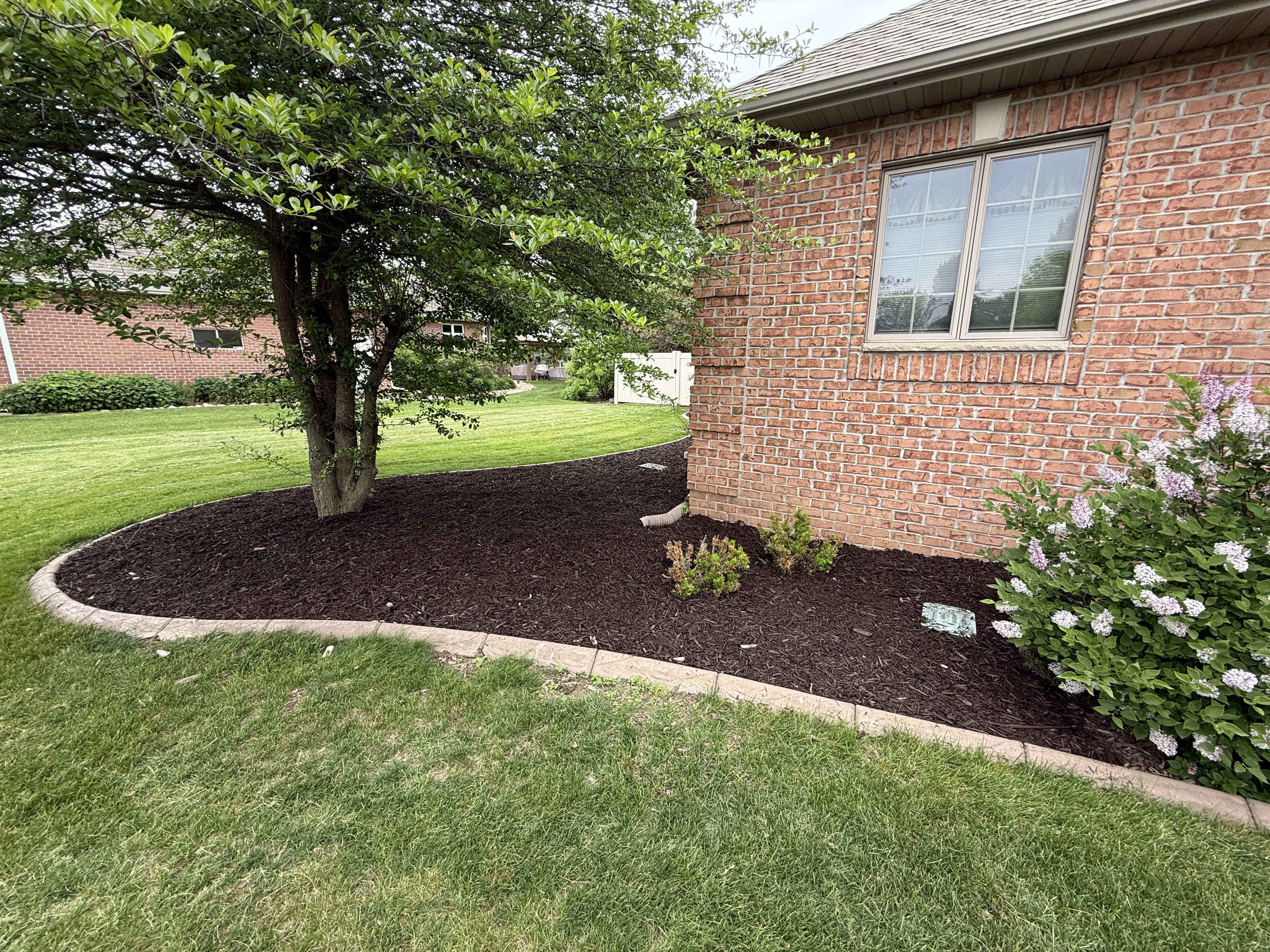 Mulch Installation