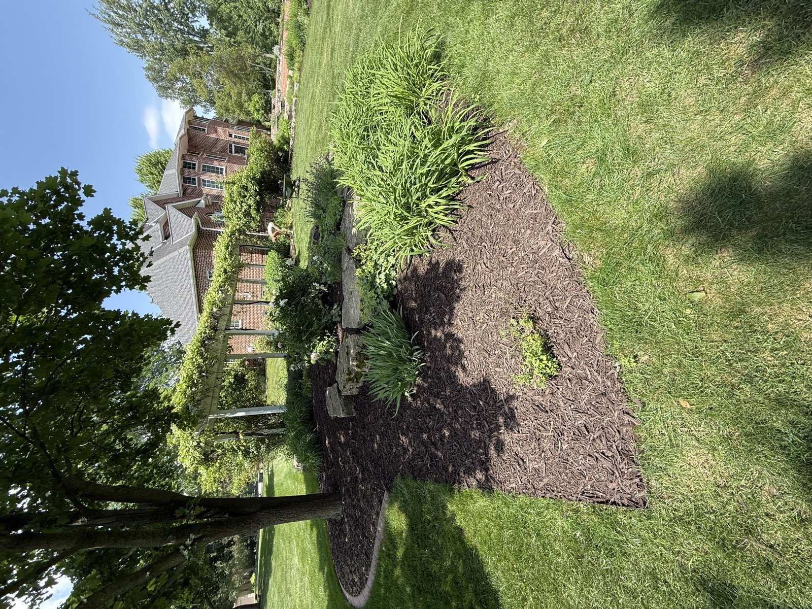 Complete Yard Reset