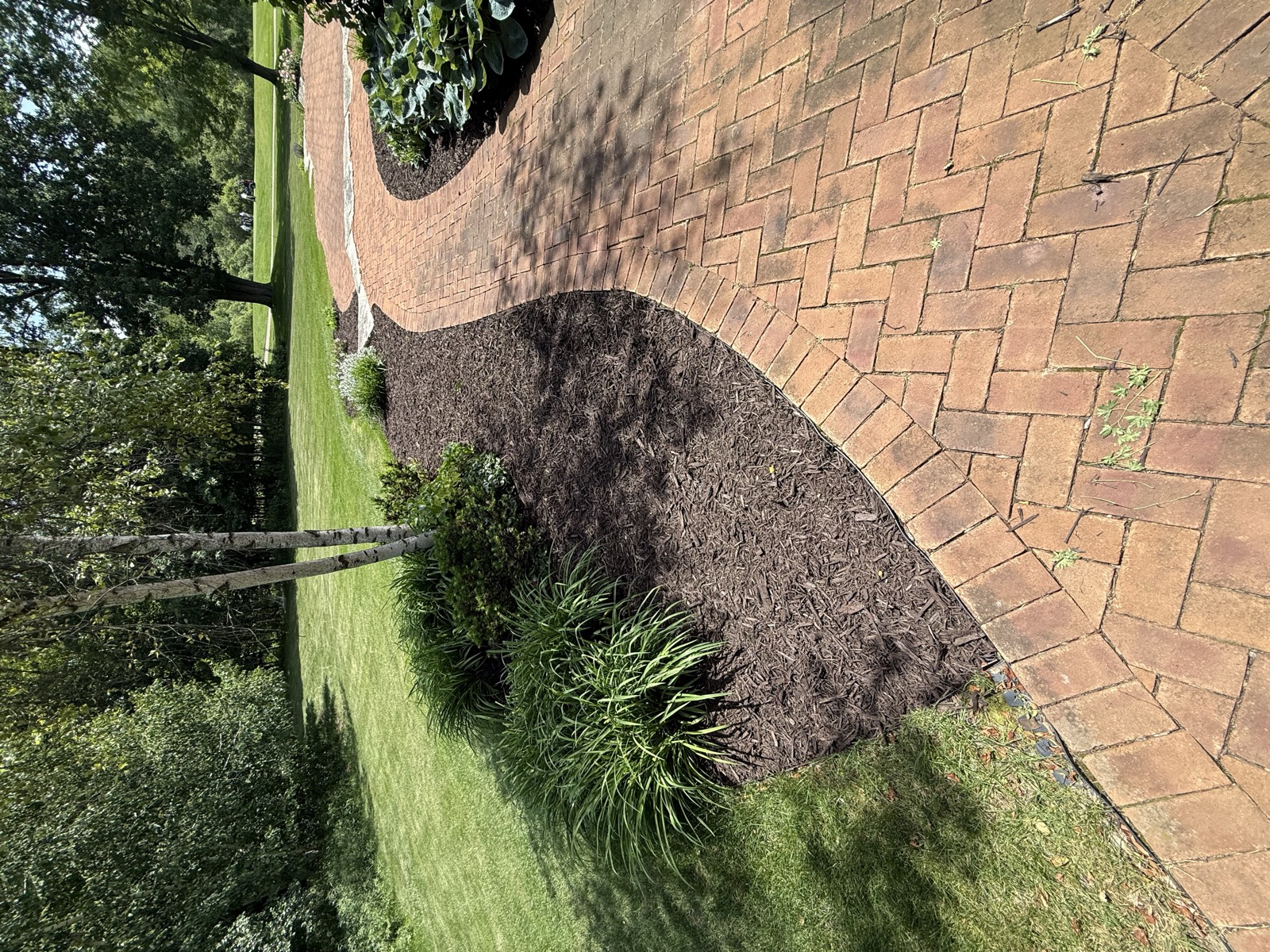 A Green Bay yard we reset